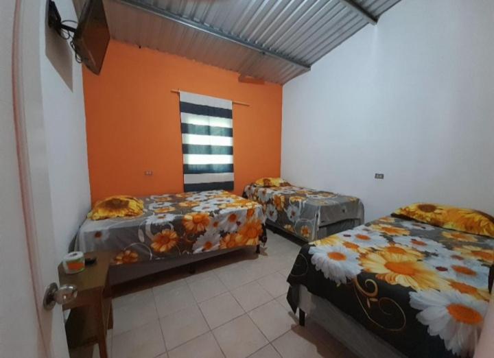 Hotel El Pez Dorado 里约杜尔塞 外观 照片